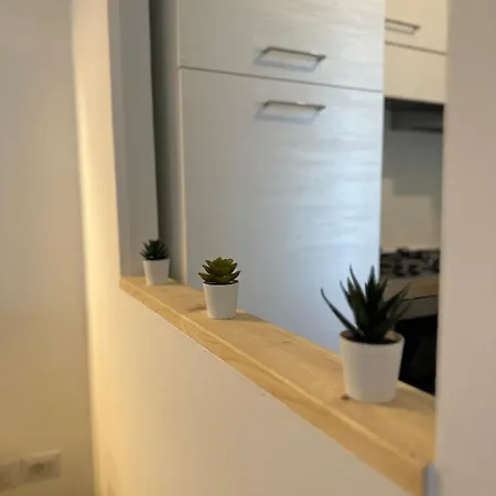 Casa Corallo 올비아